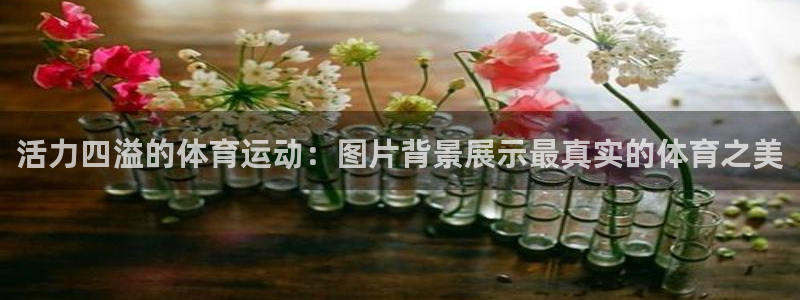 oety欧亿