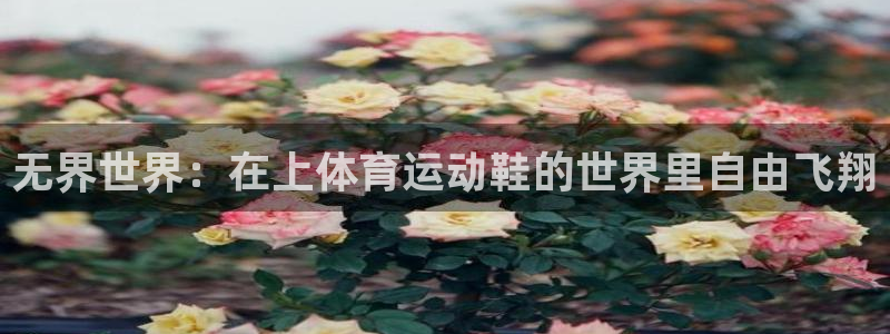 oety欧亿