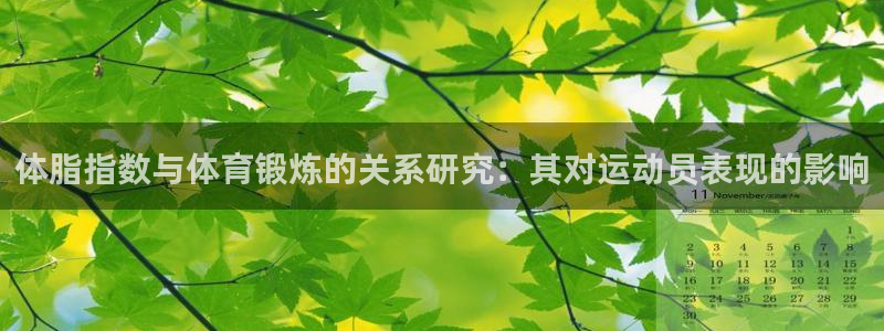oety欧亿
